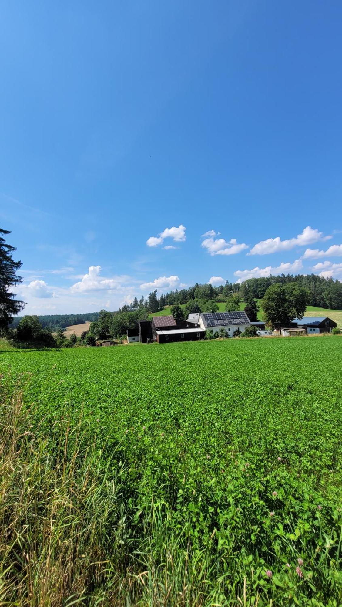 Ruhig Gelegene, Top Moderne Ferienwohnung - Hot Tub Und Sauna Gegen Aufpreis Neuhaus an Der Eger ภายนอก รูปภาพ