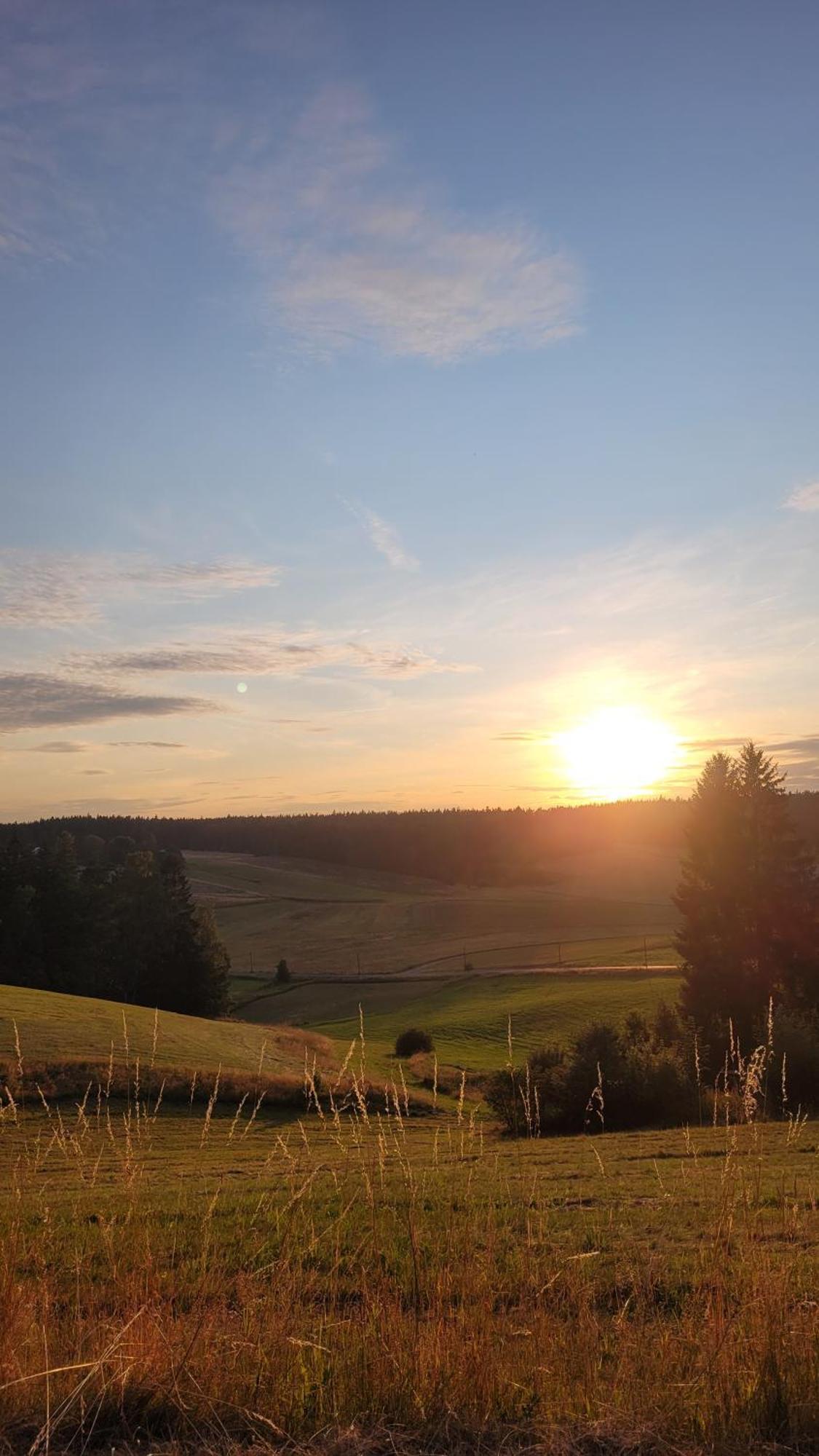 Ruhig Gelegene, Top Moderne Ferienwohnung - Hot Tub Und Sauna Gegen Aufpreis Neuhaus an Der Eger ภายนอก รูปภาพ